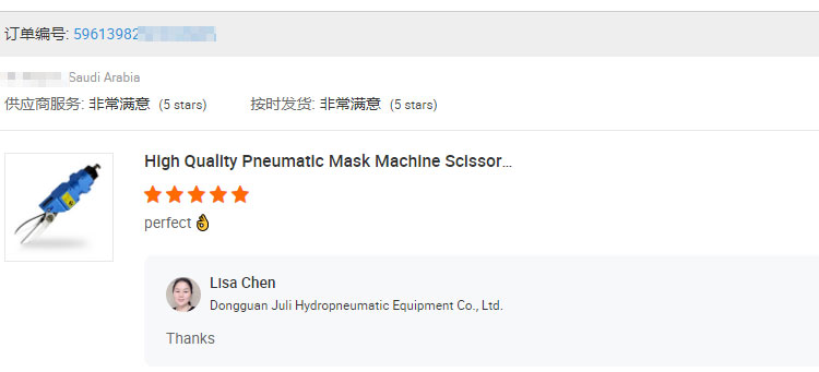 价格优惠中国工厂生产制动衬片自动皮革铆接机