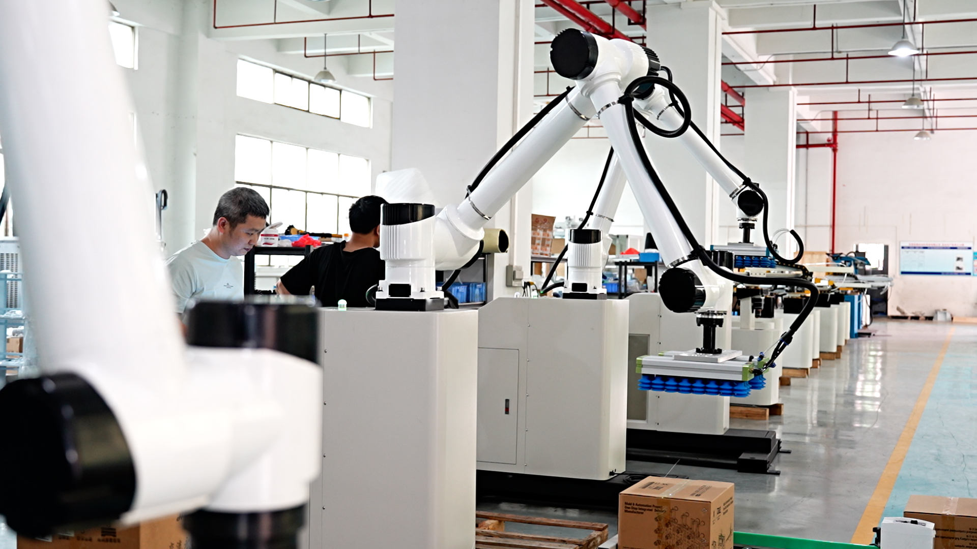 用于多工位纸箱堆叠的自动协作机器人码垛机，用于末端生产线包装 2